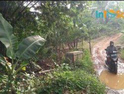 Luput dari Perhatian Pemkab Lamsel, Jembatan Nyaris Putus dan Jalan Penuh Kubangan Tempat Hilir Mudik Truk Sawit PT Aman Jaya