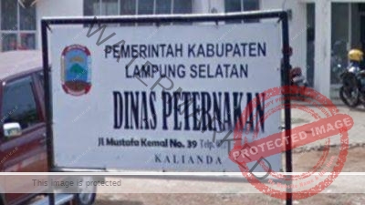 IMG 20220519 153920 Oknum Kabid Disnakeswan Lampung Selatan Diduga Halangi Kerja Wartawan