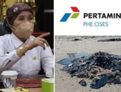 5 Kawasan Pantai Lamtim Tercemar Limbah, Ini Reaksi DLH Provinsi Lampung