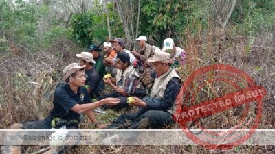IMG 20220804 WA0283 1 18 Gajah Liar Sempat 'Mampir' ke Kantor Camat Suoh Kabupaten Lampung Barat
