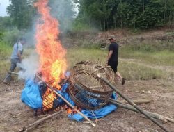 Polisi Bakar Arena Judi Sabung Ayam di Pekon Karang Sari Pagelaran Pringsewu