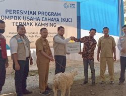 PT PLN UIP3B Sumatera UPT Tanjungkarang Salurkan Bantuan 29 Ekor Kambing di Kabupaten Pesawaran