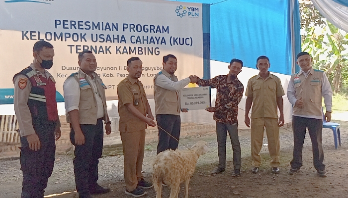 IMG 20220802 123256 PT PLN UIP3B Sumatera UPT Tanjungkarang Salurkan Bantuan 29 Ekor Kambing di Kabupaten Pesawaran
