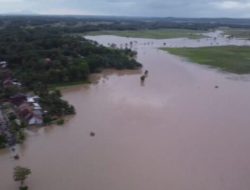 Bakal Gagal Panen dan 4 Warga Lampung Selatan Tewas Akibat Banjir