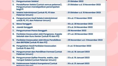 Cek Jadwal Pelaksanaan Seleksi Penerimaan PPPK Guru Tahun 2022 Provinsi Lampung