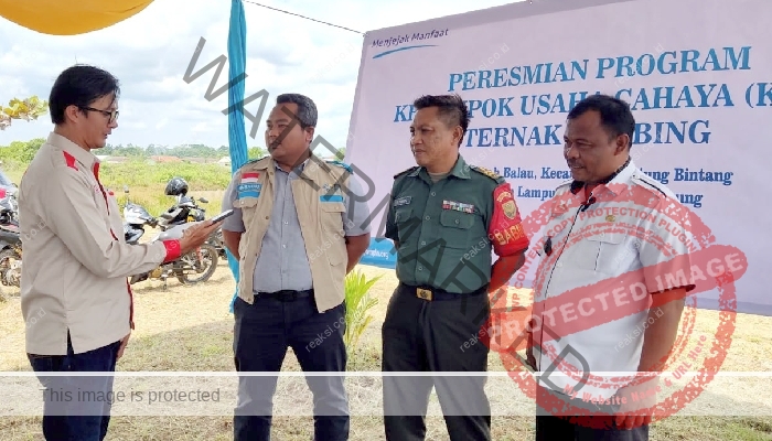 YBM PT PLN UIP3B Sumatera UPT Tanjungkarang Beri Bantuan Hewan Ternak di Desa Sabah Balau