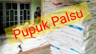 Peredaran Pupuk Palsu Resahkan Petani Lampura, Korban Minta Pelaku Ditahan
