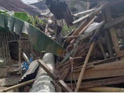 Rumah Warga Tertimpa, Angin Kencang Tumbangkan Pohon Kelapa