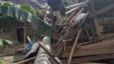 Rumah Warga Tertimpa, Angin Kencang Tumbangkan Pohon Kelapa
