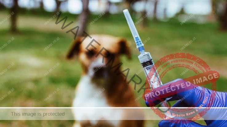 IMG 20230306 202256 Distan Bandar Lampung Siap Gelar 1000 Dosis Vaksin Rabies