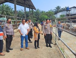 Polres Lampung Utara Bersama Dinas Peternakan ikut Pantau Kondisi Hewan Sapi di Wilayahnya