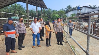 Polres Lampung Utara Bersama Dinas Peternakan ikut Pantau Kondisi Hewan Sapi di Wilayahnya