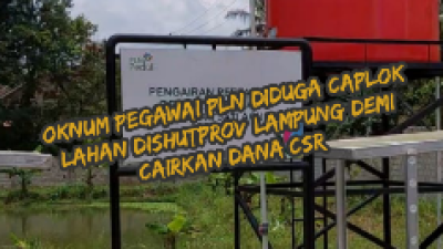 Photo 1687228366159 copy 238x424 Oknum Pegawai PLN Diduga 'Main Caplok' Lahan Dishutprov Lampung Demi Cairkan Dana CSR Ratusan Juta