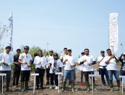 PLN Bantu Kembangkan Ecowisata Mangrove Cuku Nyi Nyi di Lampung