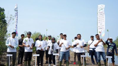 PLN Bantu Kembangkan Ecowisata Mangrove Cuku Nyi Nyi di Lampung