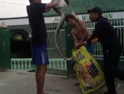 Ular 3 Meter Kesiangan Susuri Pemukiman Padat Kelurahan Sukajawa Kota Bandar Lampung