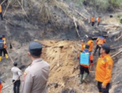 Puluhan Hektar Lahan di Tanggamus Lampung Terbakar, Pemkab Berlakukan Tanggap Darurat Bencana