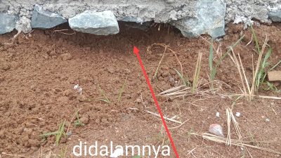 Kontraktor dan Dinas PSDA Provinsi Lampung Terkesan Lalai Soal Pekerjaan Rehabilitasi Irigasi di Kampung Timbul Rejo Lamteng