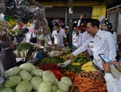 Pj Bupati Pringsewu Monitoring Langsung Harga Kebutuhan Pokok di Pasar