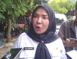 Tak Mau Warganya Terkena Banjir Lagi,”Walikota Bandar Lampung Eva Dwiana Tinjau Langsung Pemasangan Talud