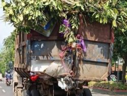 LSM KAKI Siap Laporkan DLH Bandar Lampung ke APH, Ini Fakta Temuannya!