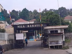 Lanal Lampung Dan Brigif 4 Marinir Grebek Gudang Baby Lobster Di Perumahan Mewah
