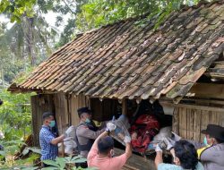 Polsek Talangpadang dan Inafis Polres Tanggamus Identifikasi Temuan Mayat di Gubuk Gisting