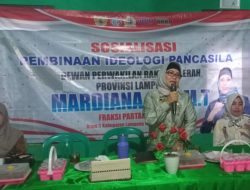 Mardiana Sosialisasikan PIP di Sungkai Selatan