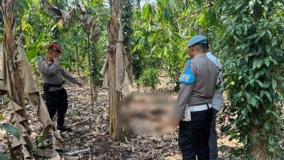 Polisi Selidiki Penemuan Mayat Dikebun Milik Waringsewu
