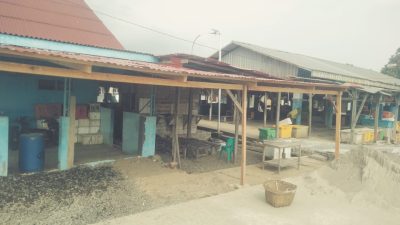 Pembangunan TPI Higienis Kabupaten Tanggamus Tidak Tertata dan Kumuh