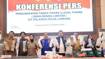 Ungkap 149.400 Ekor BBL, Polda Lampung Selamatkan Kerugian Negara Rp37,3 M
