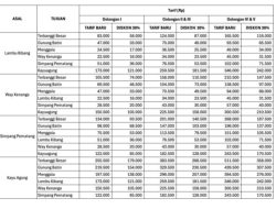 Hutama Karya Berlakukan Penyesuaian Tarif Tol Terpeka