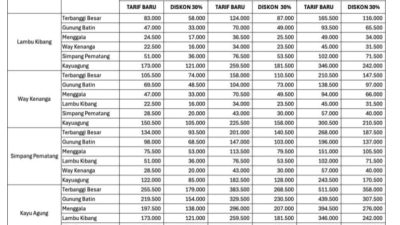 Hutama Karya Berlakukan Penyesuaian Tarif Tol Terpeka