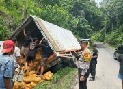 Ini Kronologi dan Himbauan Polisi Usai 4 Kendaraan Terlibat Laka di Jalur Wisata Pesawaran