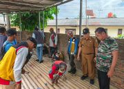 Pemkot Bandar Lampung Tertibkan 10 Bangunan Semi Permanen Diatas Sungai