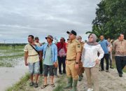 Ketua Komisi III DPRD Lampung Selatan Tinjau Tanggul Way Pisang yang Jebol