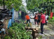 Pemkot Bandar Lampung Terjunkan TRC, Atasi Pohon Tumbang