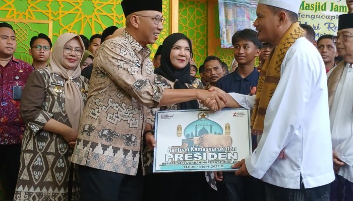 Gubernur Lampung Rahmad Mirzani Djausal Salurkan Bantuan Sapi Qurban Presiden RI