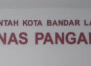 Ketahanan Pangan atau Ketahanan Rapat? Anggaran Rapat Dinas Pangan Bandar Lampung Capai Ratusan juta