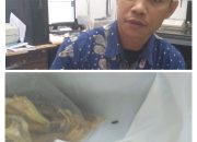 Heboh Ikan Asin Penuh Belatung Terjual di Fitrinofane Bandar Lampung