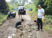 Anggota DPRD Lampung Turun Langsung Perbaiki Jalan Rusak di Gunung Katun dan Tanjung Ratu