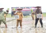 Sinergi Forkopimda, Ketua DPRD Lampung Hadiri Tanam Padi di Lampung Timur
