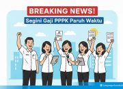 BREAKING! Segini Skema Gaji PPPK Paruh Waktu di Lampung Selatan