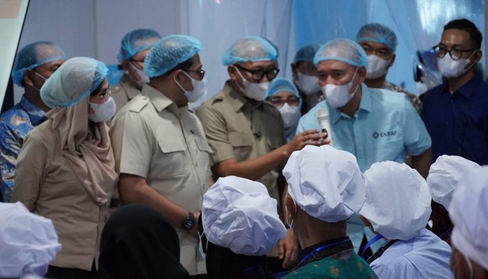 Pemprov Lampung Lampung Dorong Penguatan Gizi dan Ekonomi Daerah Melalui Kegiatan MASAMO