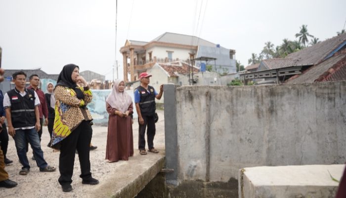 Wali Kota Tinjau Aliran Sungai dan Gorong-Gorong di Perumahan Pujangga Alam