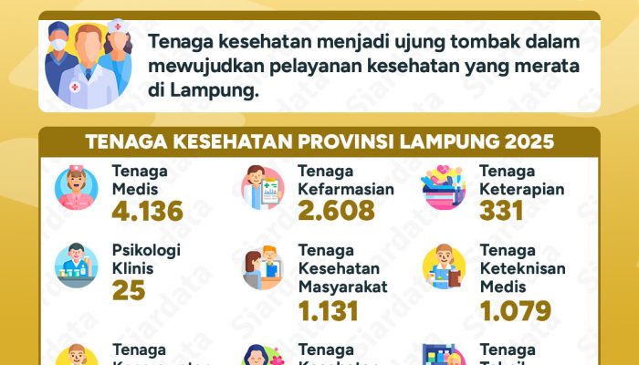 Statistik Tenaga Kesehatan Provinsi Lampung Tahun 2025