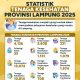 Statistik Tenaga Kesehatan Provinsi Lampung Tahun 2025