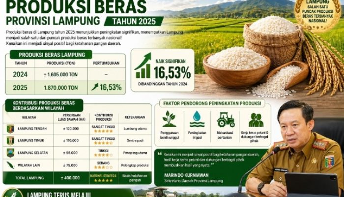 Produksi Beras Lampung Melonjak 16,53 Persen di 2025, Jadi Penopang Ketahanan Pangan Nasional