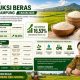 Produksi Beras Lampung Melonjak 16,53 Persen di 2025, Jadi Penopang Ketahanan Pangan Nasional