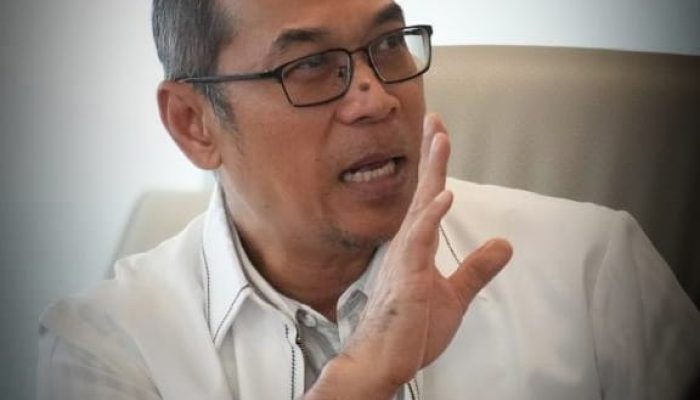 Pemprov Lampung Intensifkan Mitigasi Konflik Gajah, Upayakan Percepatan Pembangunan Tanggul